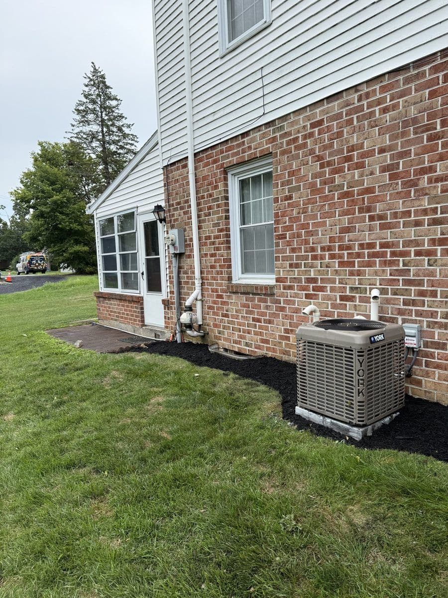 Same corner with a clean edge and fresh mulch