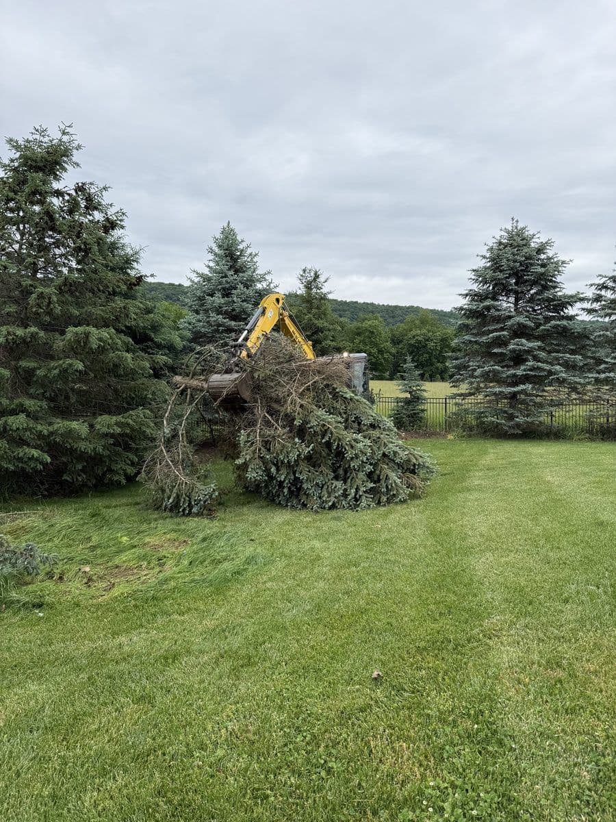 Large brush pile beside a mini excavator in a backyard