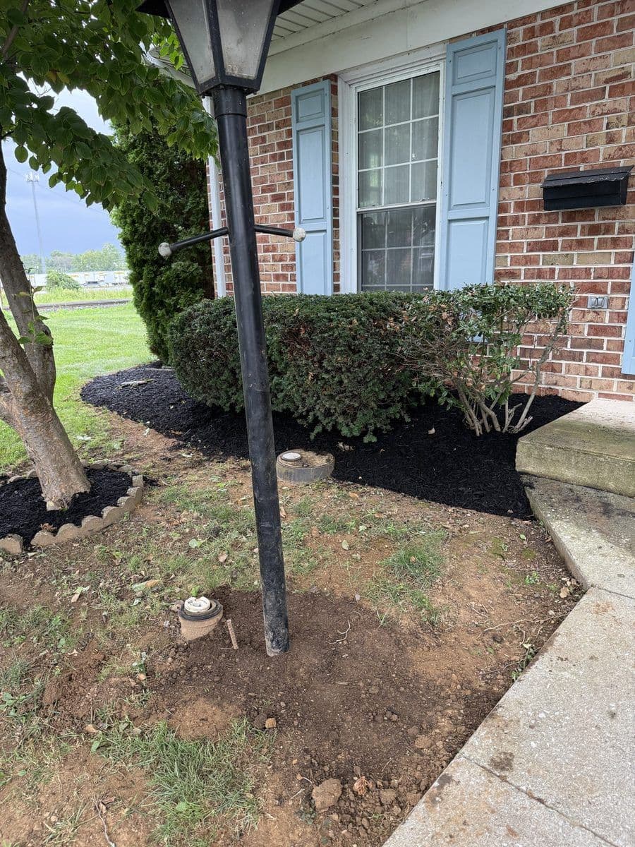 Same front bed cleared of weeds, with fresh mulch along the shrubs