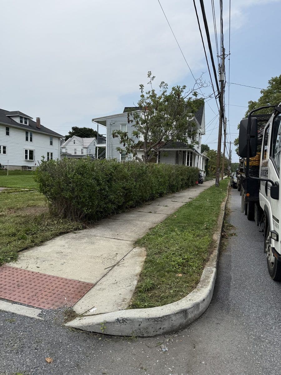Same hedge trimmed back to a clean line along the walk