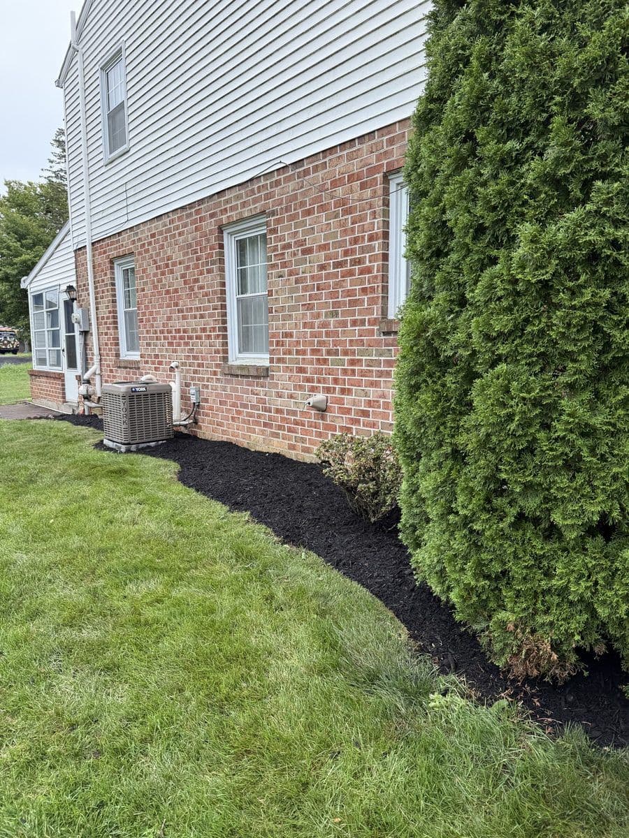 Same side bed weeded and covered in fresh black mulch