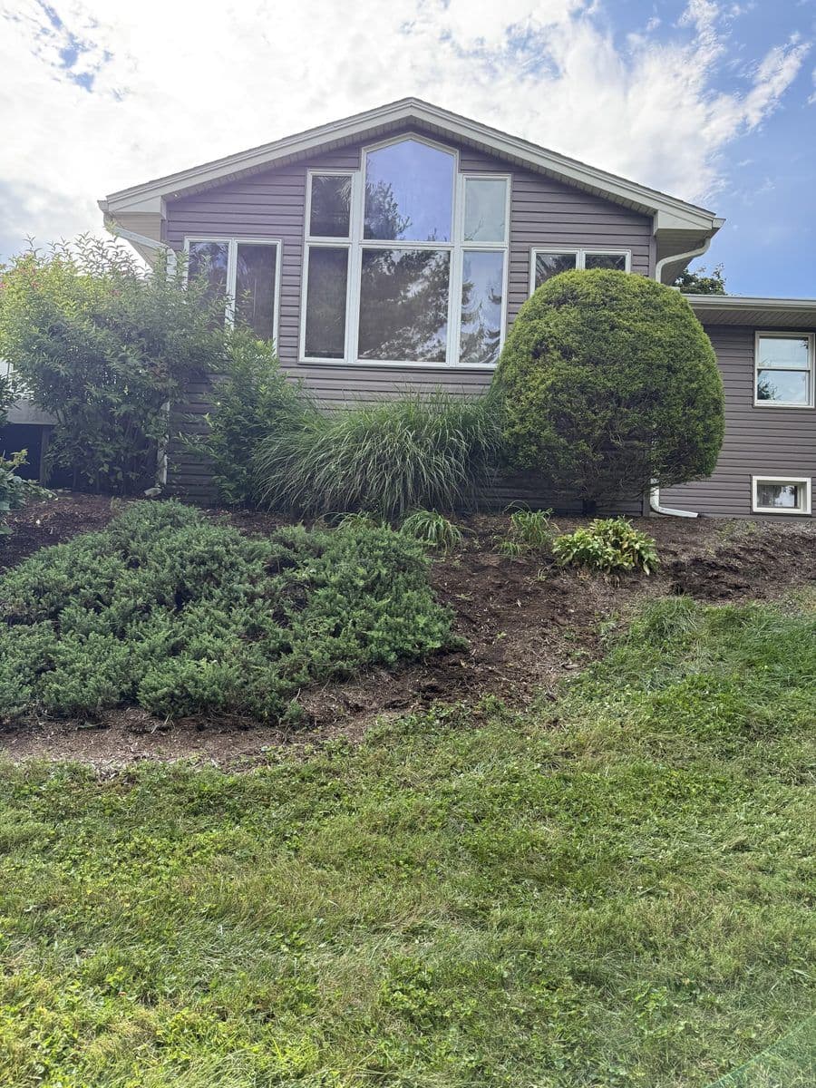 Same bed cut back and cleaned up, shrubs shaped